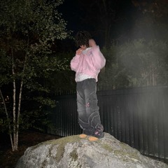 Can't Lie ft. Wose (prod. nerfjayy)