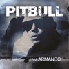 Pitbull - Guantanamera (She's Hot) — cover