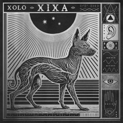 Xoloitzcuintli