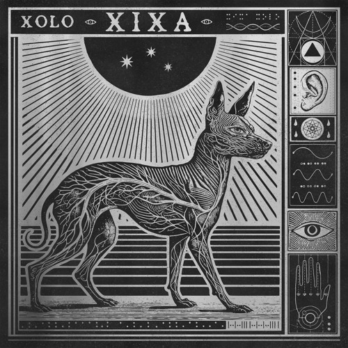 Xoloitzcuintli