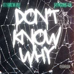 Don't Know Why (feat. YungDream) prod. young italy x chef9thegod