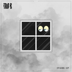 TRiP B x VIRE - GRAYSCALE