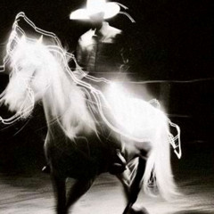 Among The Lotus Leaves