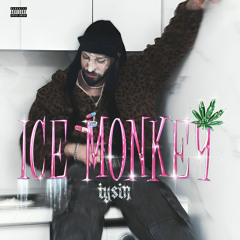 Ice Monkey
