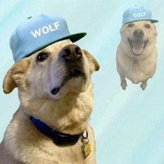 Tyler, the creator - Answer + IFHY + Tamale