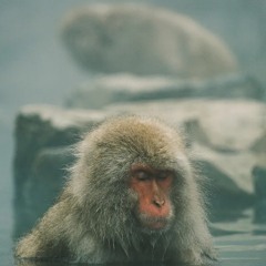 Erase Your Social Pt6