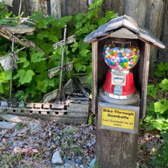 formidable forests mixtape 081225