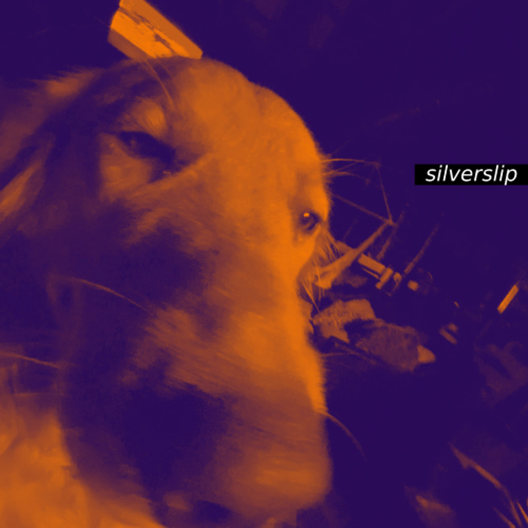 silverslip