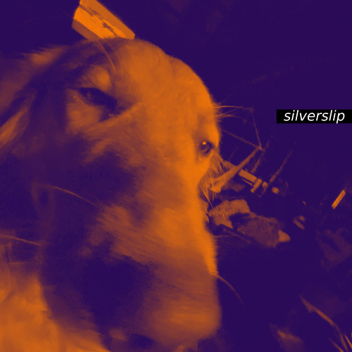 silverslip