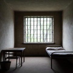 русская весна в одиночной камере