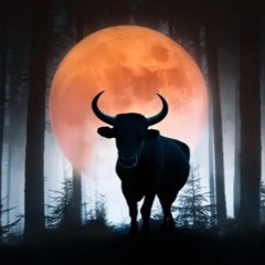 RaHis b2b Sceptical C @ Safespace - Calling of the Waxing Gibbous