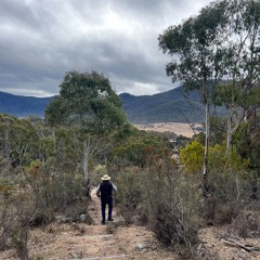 Australiana, Jig, Wellerman, Folk and Country (a little Blues)