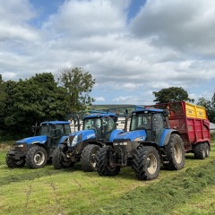 Whistlin Donkeys Land Down Under