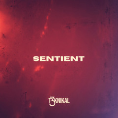 Sentient (prod. By T3KNIKAL)