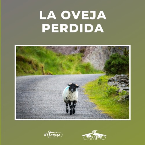 La Oveja Perdida, Nicholl