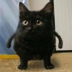 DA PALINHA DA POUPINHA - MC TH ft MC LOIRINHA (Prod. _m4xin)