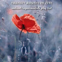 Transit routes in life.