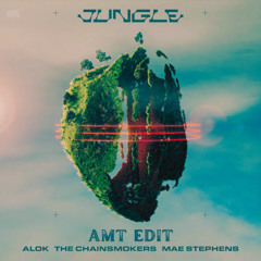 Alok, The Chainsmokers & Mae Stephens - Jungle (AMT Edit)