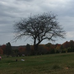 All Things Demo V. 2