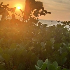 datsmoof - Brother (MAYHEM Beat Contest)