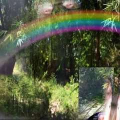 Sinister Mantras [Samples, Botanic Clips Vol 2]