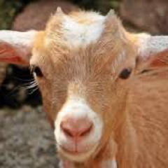 laxed (siren beat) x swing M!NG Mashup