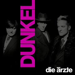 DEMOKRATIE (OUR BASS PLAYER HATES THIS SONG)