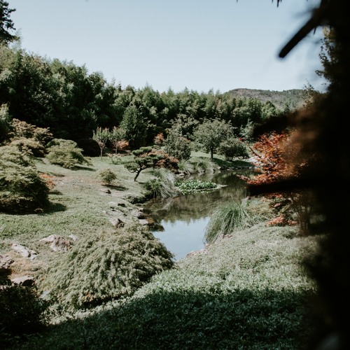 Goldmund - A Familiar Sight