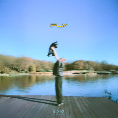 Fly