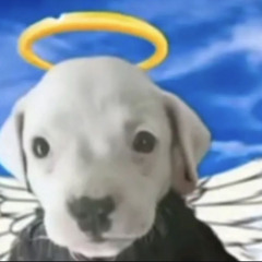 playboicarti-timeless (without the weekend)