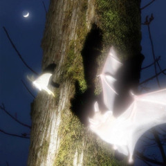 Yodaka+Victorious(edit by NEMLAND)