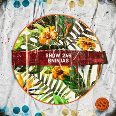 Slow Sessions 246 Mixed by BNinjas (ZA)