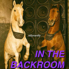 IN THE BACKROOM - killyvanilly