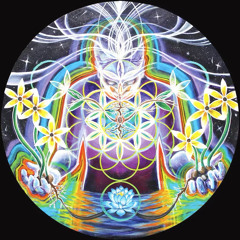 THE FLOWER OF LIFE IS EVERYWHERE