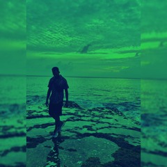 Organic Odyssey