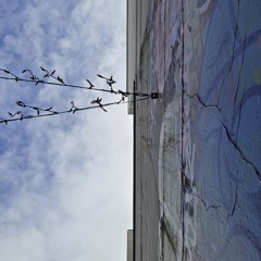 We Found Love (Cover - Rihanna/Calvin Harris)