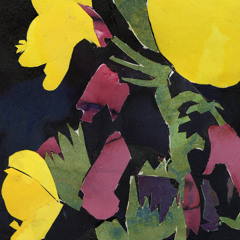 Primrose