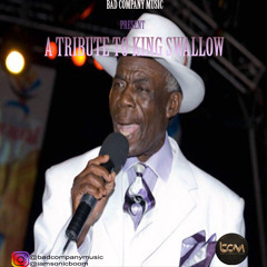 Tribute To The Mighty Swallow