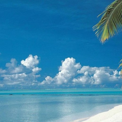 Auxbeatz tik tok background FREE DOWNLOAD