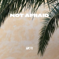 Not Afraid (Free download)
