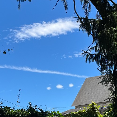 Sunny, Clear, And Cold - 10 11 24, 16.36