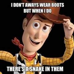 there's a snake in my boot