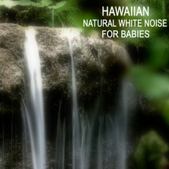 Hawaiian Tropical Rain - Rain Sound for Deep Sleep (Help Your Baby Sleep With Continuos Rain Sound)