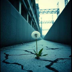 Hidden in Plain Sight