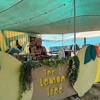 Midburn 2024 - Lemon Tree Camp DJ mix artwork - Electronic music tracklist cover image
