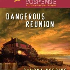 ✔Ebook⚡️ Dangerous Reunion: Faith in the Face of Crime (The Ocracoke Series Book 1)