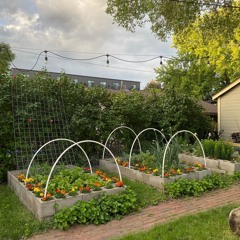 Holy Essence (Los Vibras Remix) Sondae