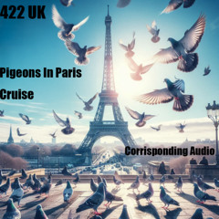 422 - PIGEONS IN PARIS