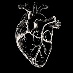 Ich wollte nur geliebt werden (Creator DragxzTV Music)