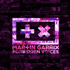 Martin Garrix - Forbidden Voices (Slowed & Reverb)